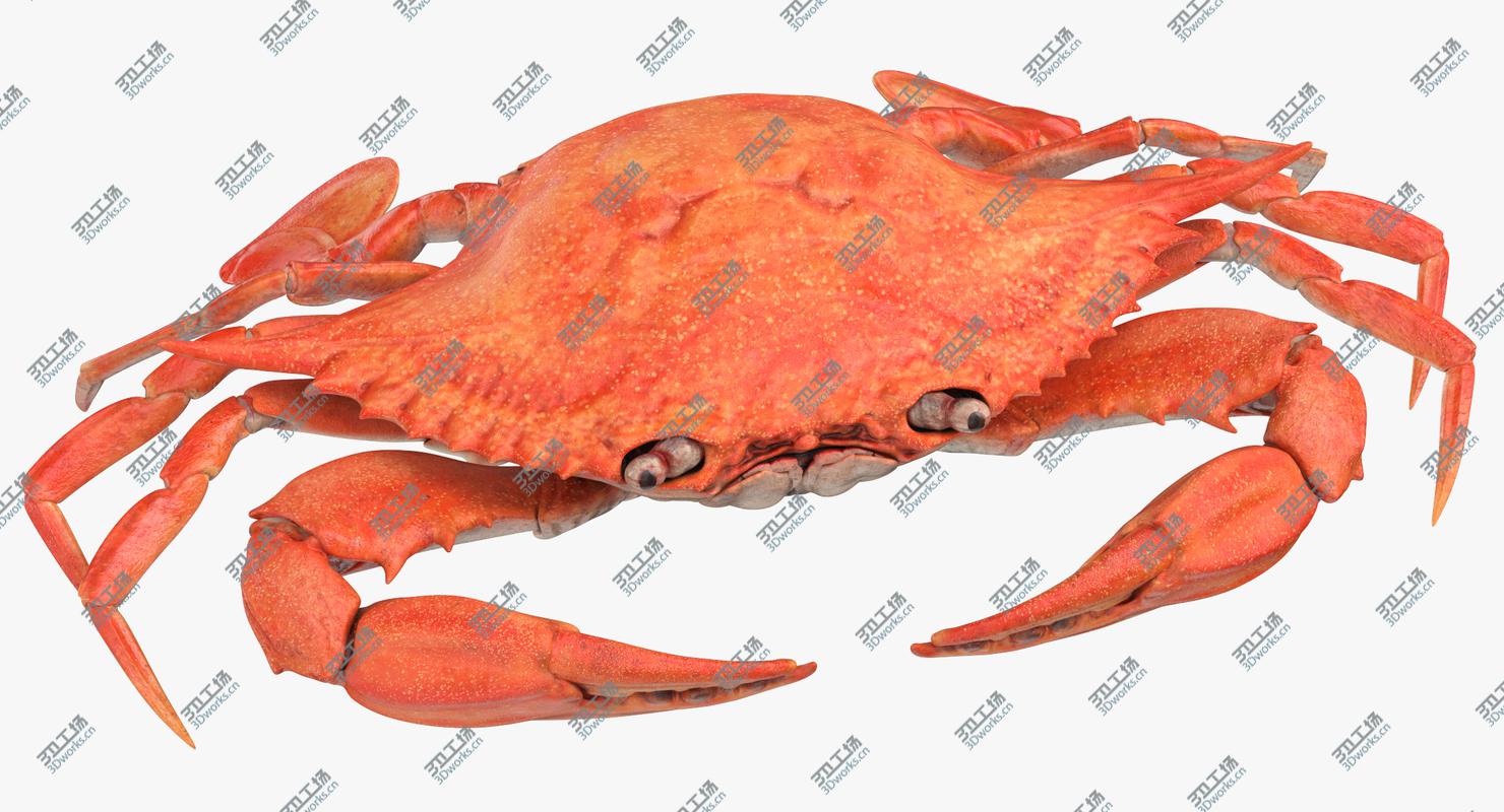 images/goods_img/202105071/Crab 3D/2.jpg